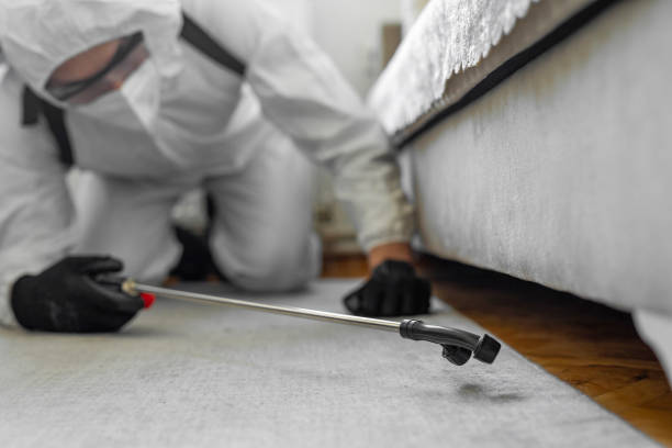 Professional Termite Control technician working in Bellbrook, OH
