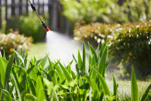 24/7 Emergency Termite Control experts in Bellbrook, OH