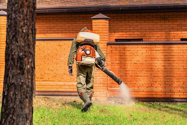 Top rated local Termite Control specialists in Bellbrook, OH